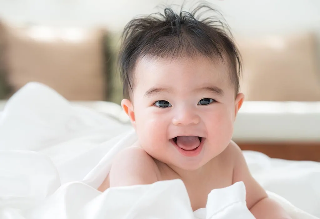 Names Similar to Totoro