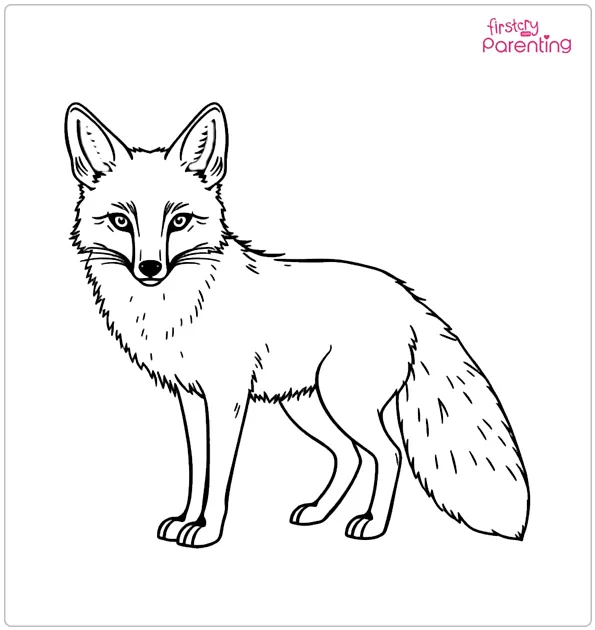 Realistic Fox Colouring Page