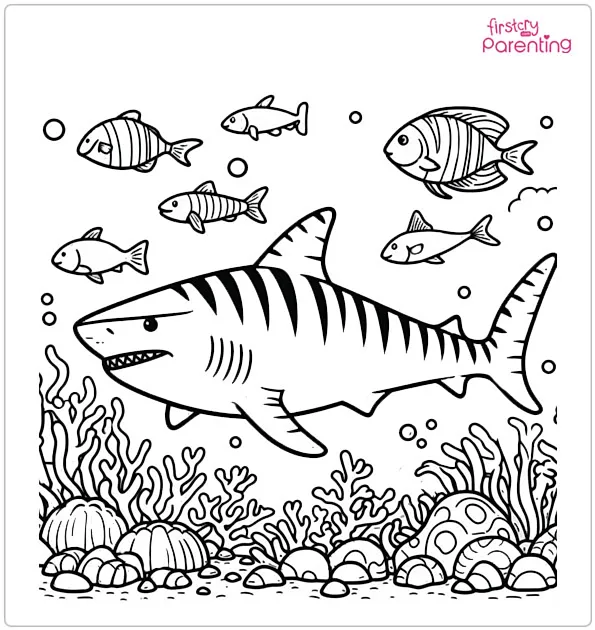 Tiger Shark Colouring Page