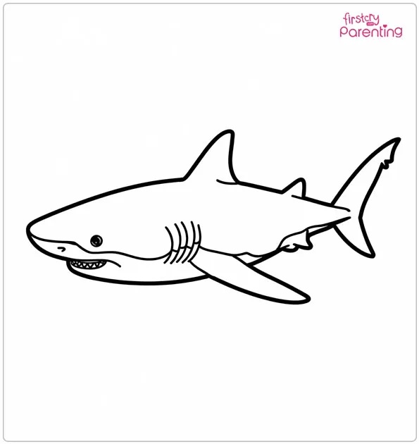 Bull Shark Colouring Page