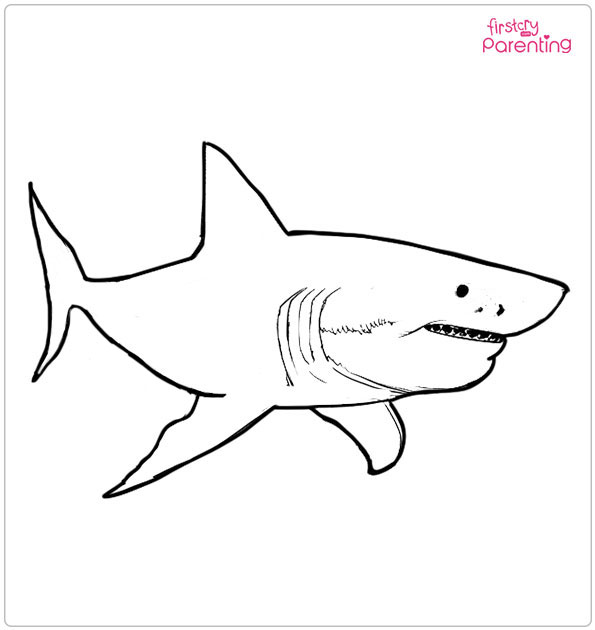 Great White Shark Colouring Page