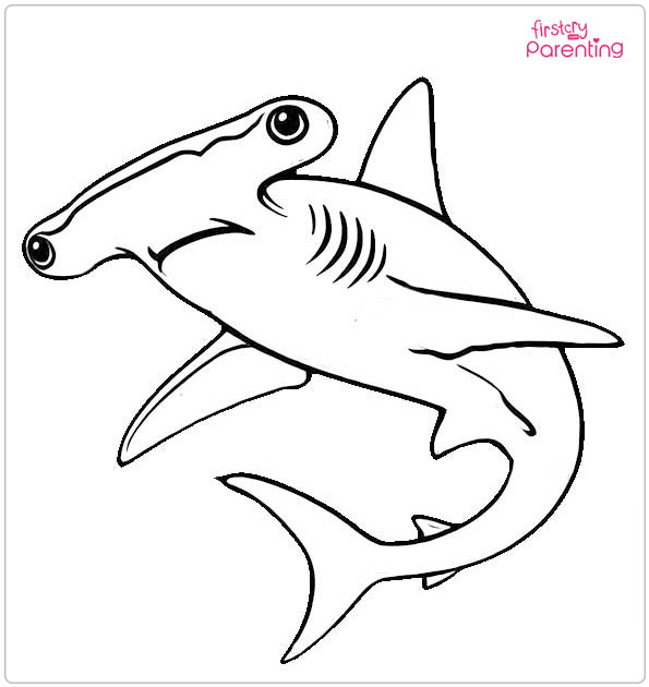 Hammerhead Shark Colouring Page
