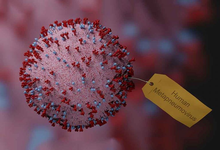 Human Metapneumovirus (HMPV) Infection - Could Your Child Be at Risk?
