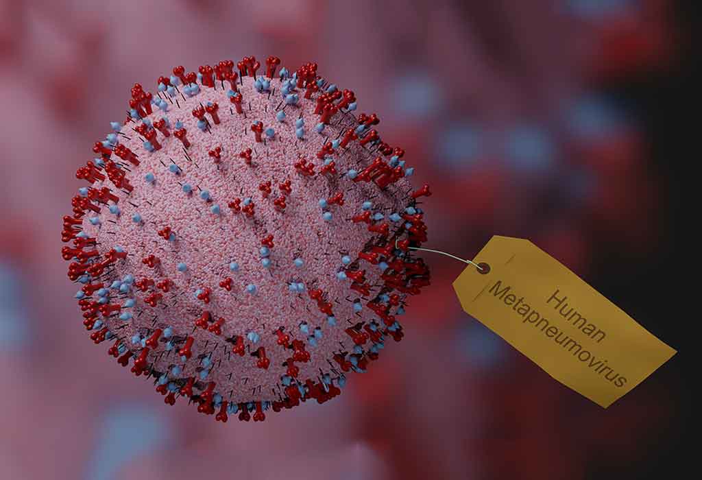 Human Metapneumovirus (HMPV) Infection – Could Your Child Be at Risk?