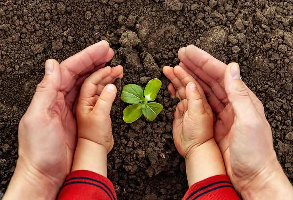 Care for the Environment