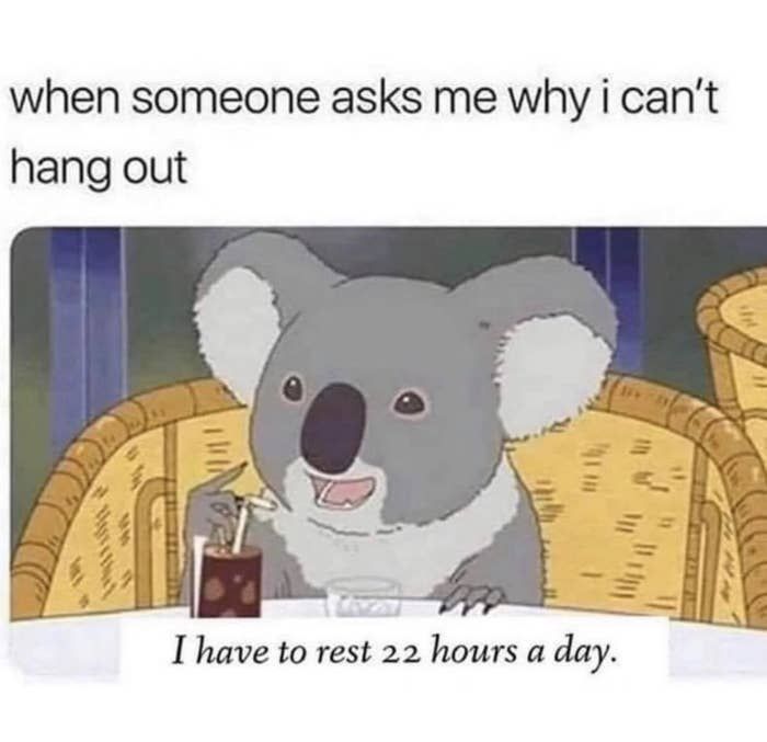 pregnancy memes