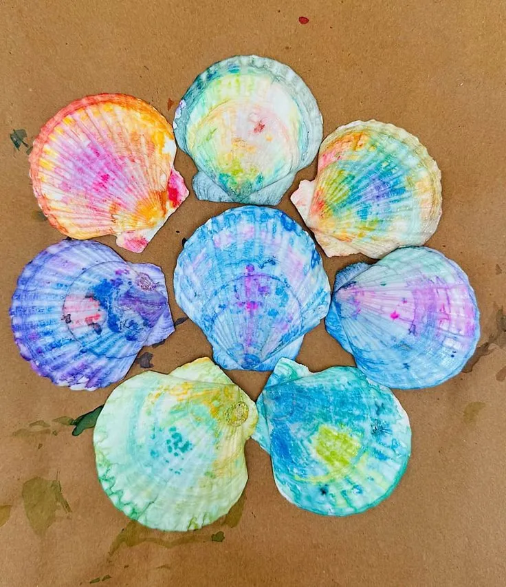 Seashell Art Seashell Art
