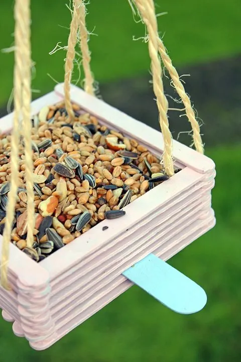 Popsicle Stick Bird Feeder