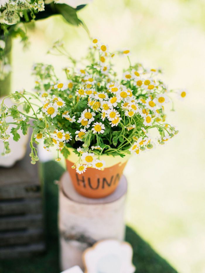Bouquets of Flowers