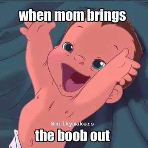 The "Baby Sees Boobs, Baby Attacks" Meme