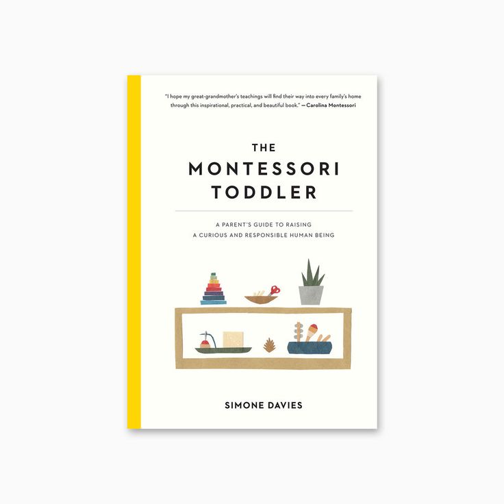 The Montessori Toddler