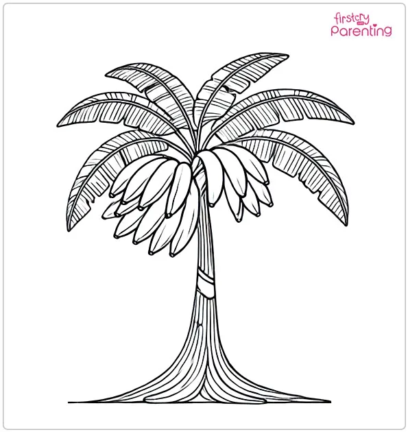 Banana Tree Coloring Page