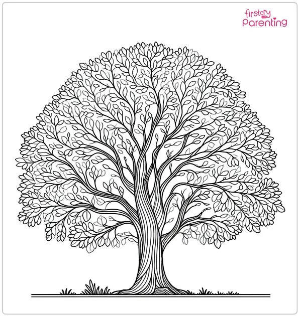 Elm Tree Coloring Page