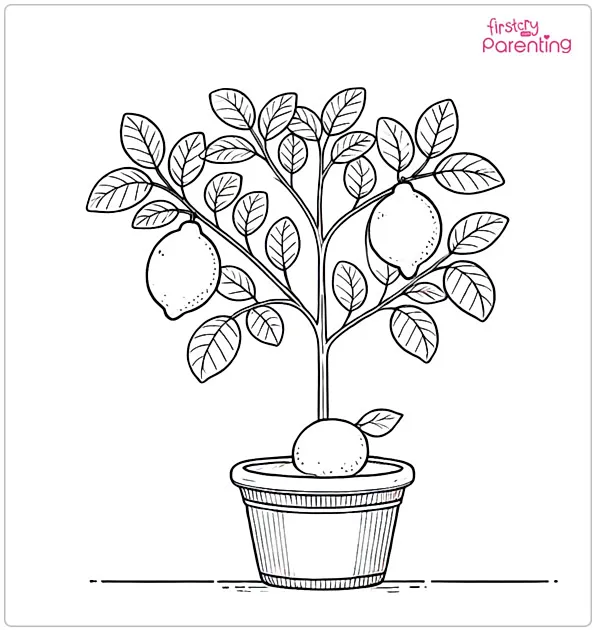Lemon Tree Coloring Page