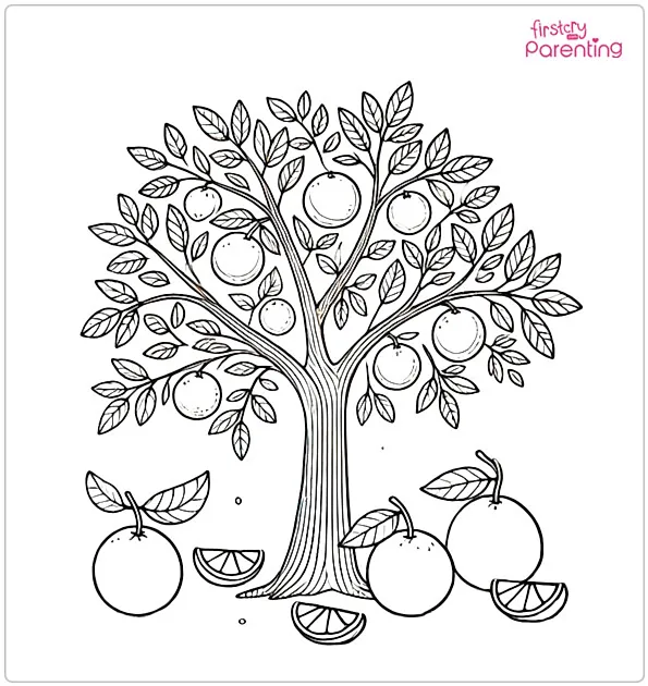 Orange Tree Coloring Page