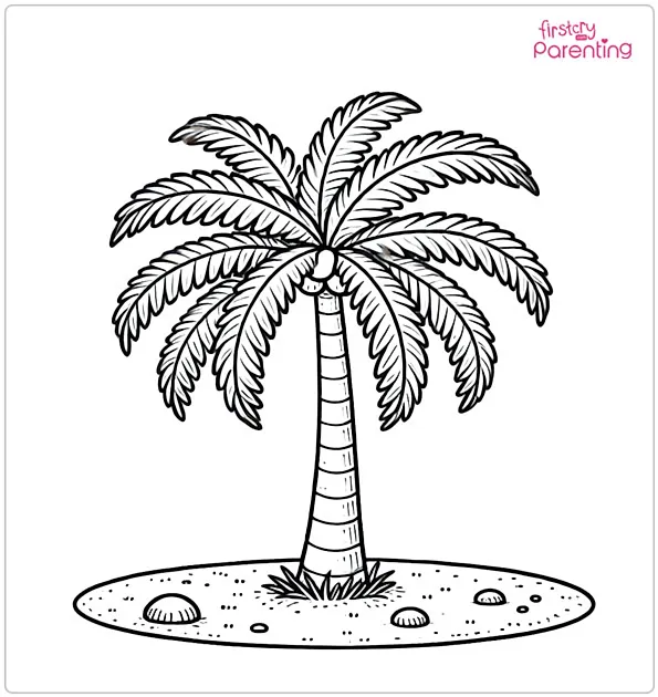 Palm Tree Coloring Page