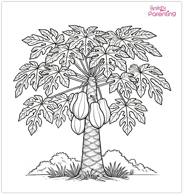 Papaya Tree Coloring Page