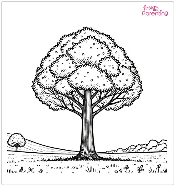 Realistic Looking Tree In Field Coloring Page