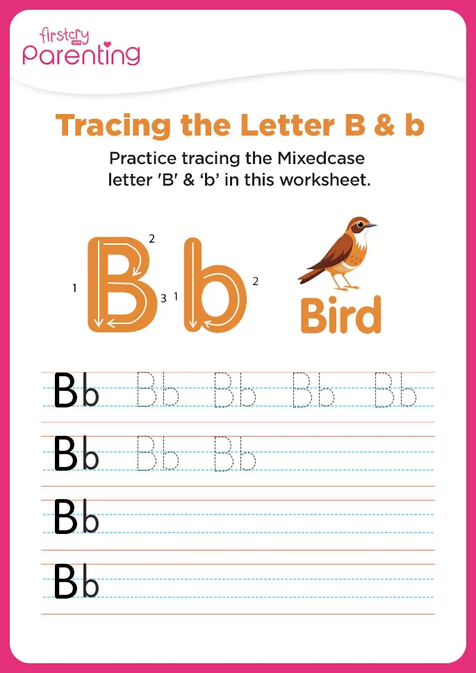 Bb for Bird worksheet