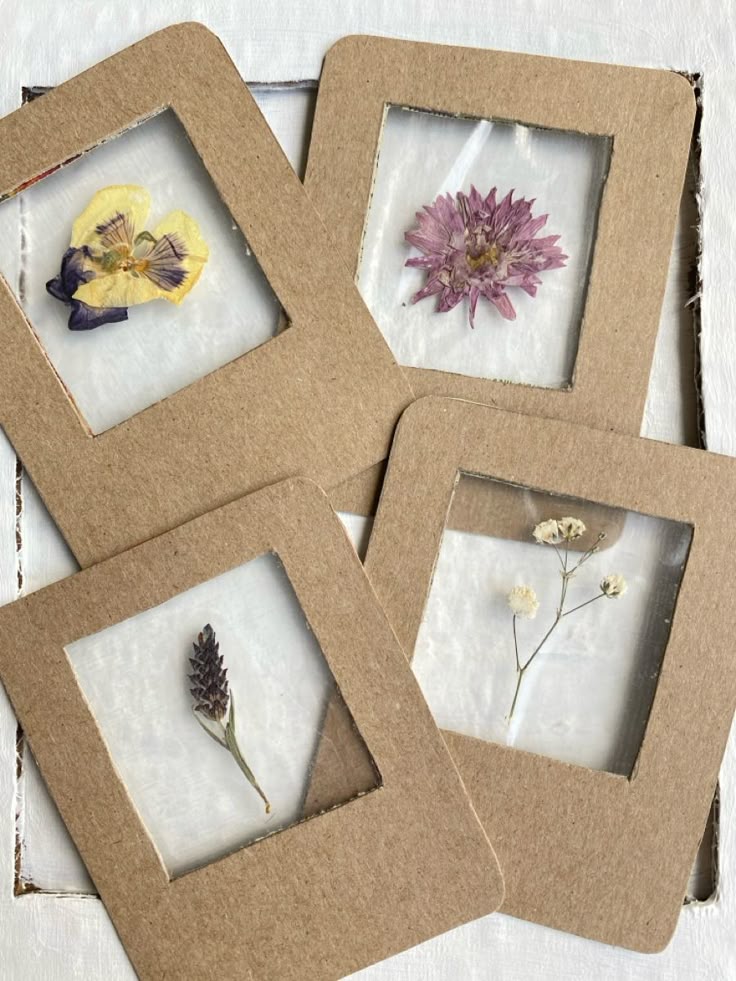 Pressed Flower Art
