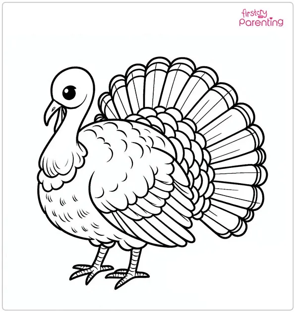 Realistic Turkey Coloring Page