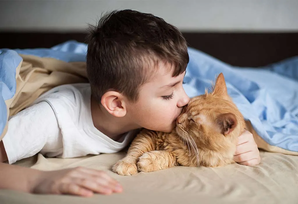 My Favourite Animal Cat