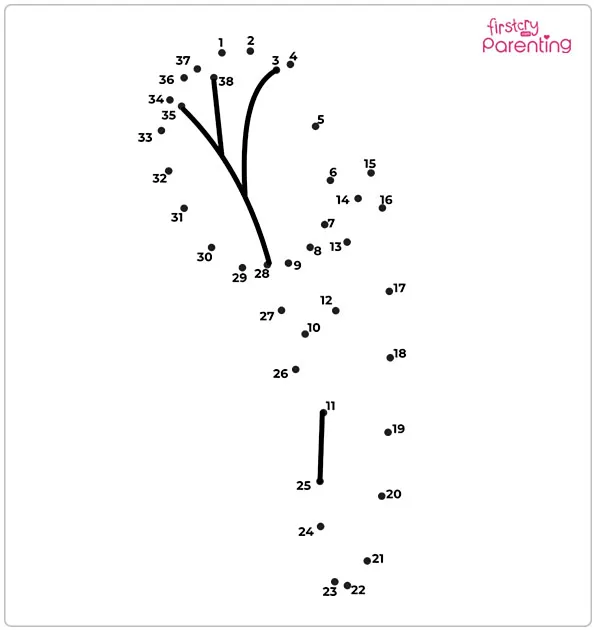 Tulip Dot to Dot Coloring Page