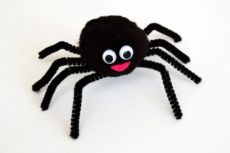 Pom Pom Spider