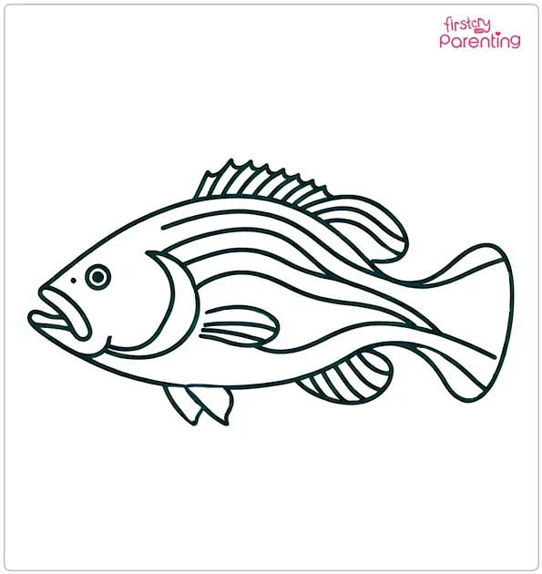 Bass Fish Coloring Page