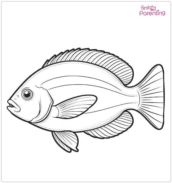 Realistic Fish Coloring Page