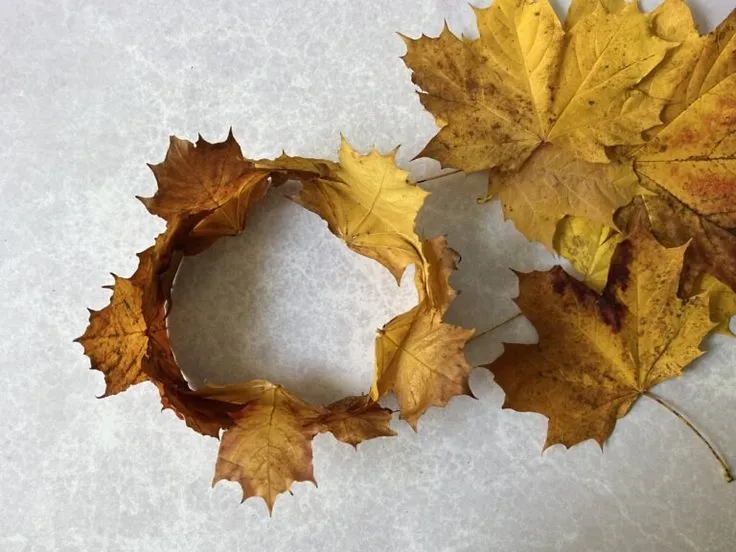 Autumn Leaf Crown