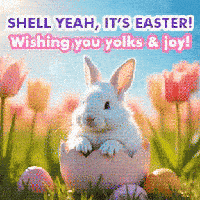 funny easter bunny gifs