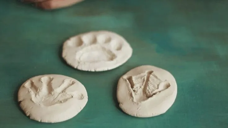 POP Pet Footprints
