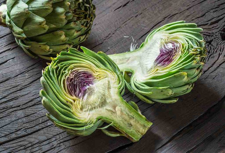 Artichoke During Pregnancy - Benefits, Side Effects, and More