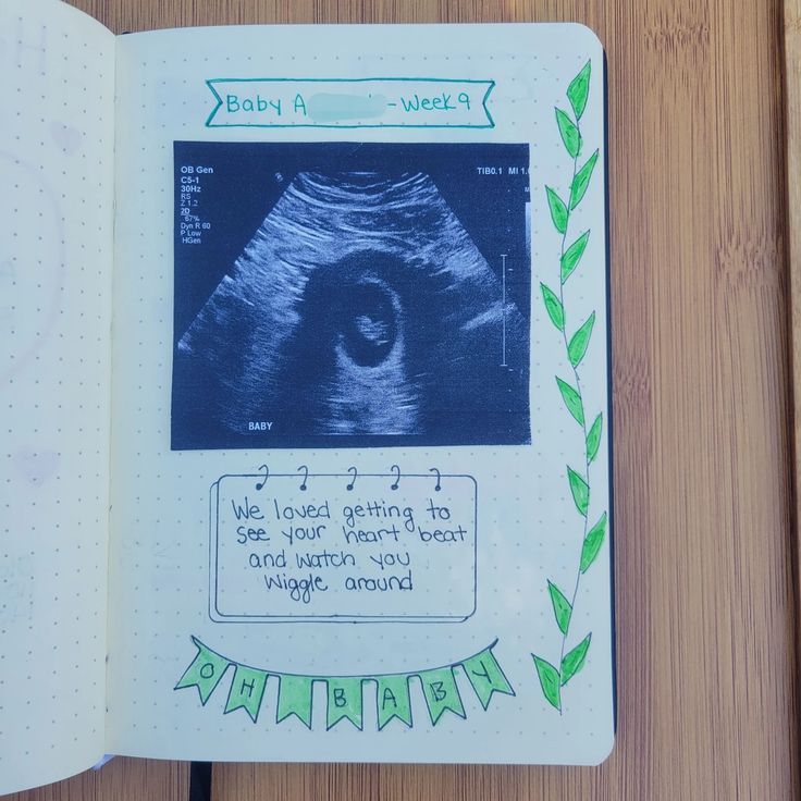 Pregnancy Journal