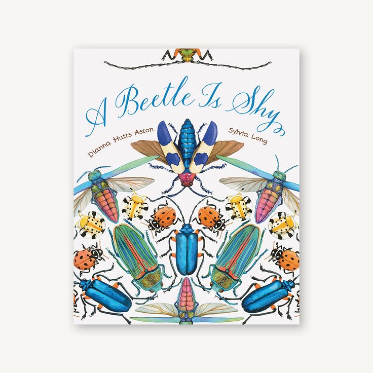 A Beetle Is Shy