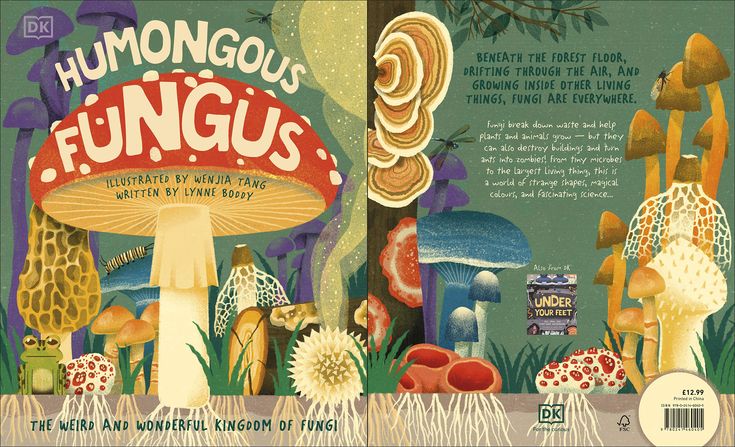 Humongous Fungus
Author: Lynne Boddy