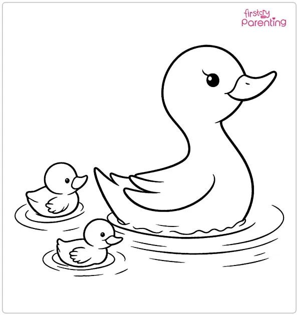 Ducklings Following Mom In The Pond Coloring Page Ducklings Following Mom In The Pond Coloring Page