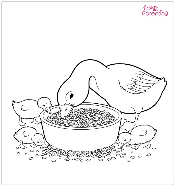 Ducks Eating Grains Coloring Page Ducks Eating Grains Coloring Page