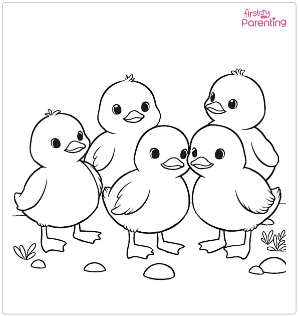 Five Little Ducks Coloring Page Five Little Ducks Coloring Page