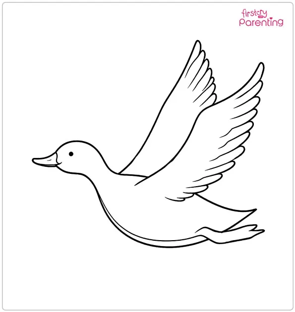 Flying Duck Coloring Page Flying Duck Coloring Page