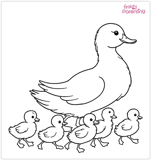 Mother Duck With Flock Of Ducklings Coloring Page Mother Duck With Flock Of Ducklings Coloring Page