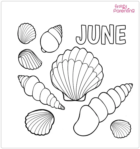 June Shells Coloring Page