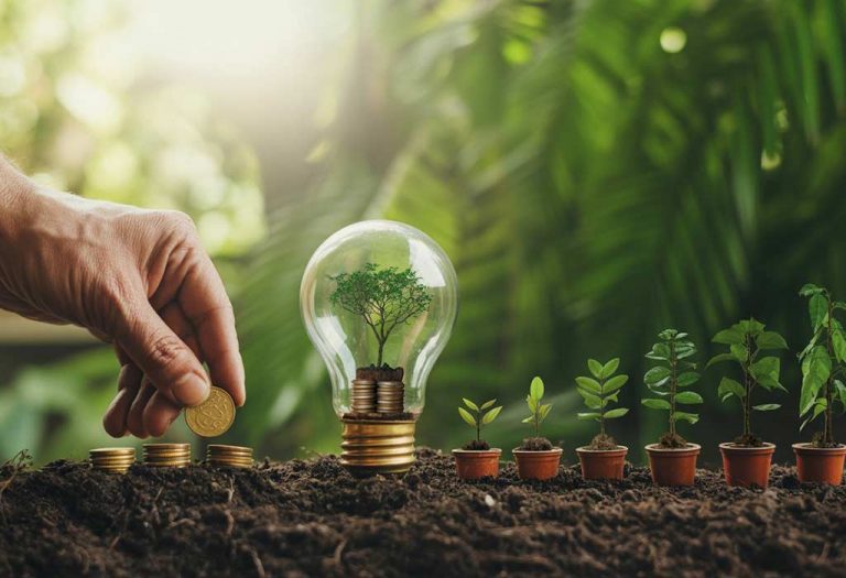 Essay on Environment for Students and Children in English