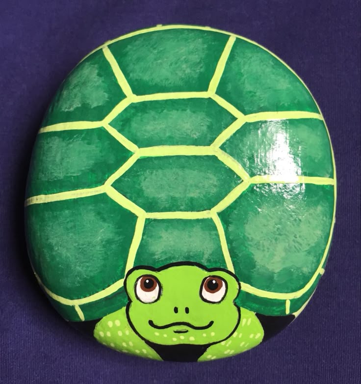 Turtle Shell