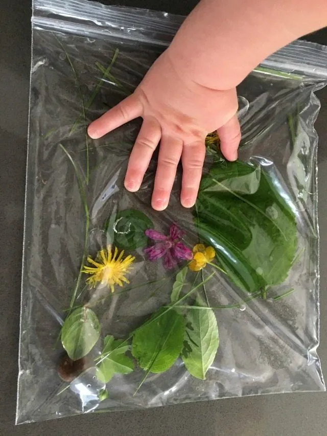 Nature Sensory Bag