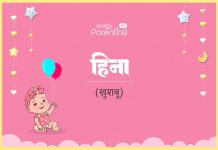 Heena Name Meaning in Hindi
