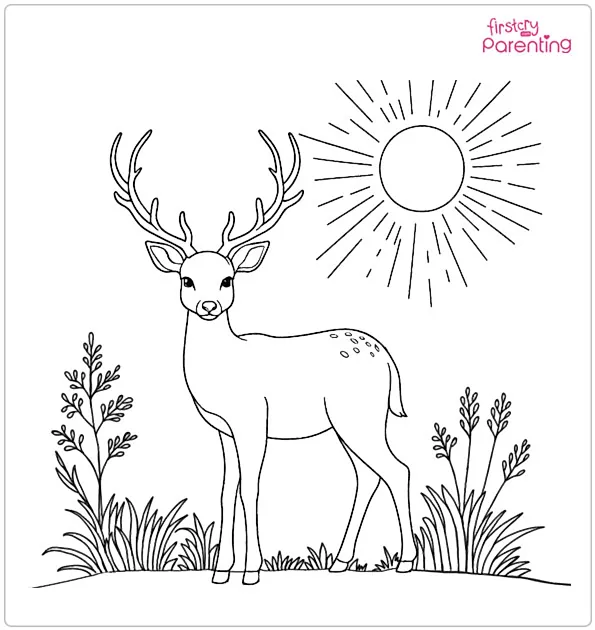 Deer in the Sun Coloring Page