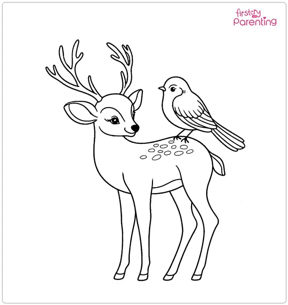 Deer with Bird Coloring Page
