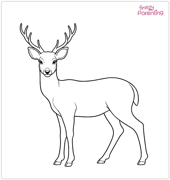 Easy Deer Coloring Page